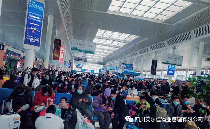 金虎辞旧岁，玉兔迎新春！