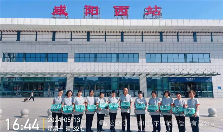 端午情长，艾尔佳愿您安康！